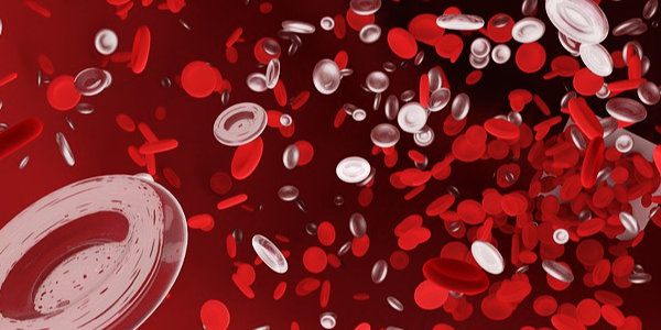 A group of doctors studied the blood of over 1,000 vaccinated patients. They discovered 94% had blood abnormalities. Microscopic analysis showed the destruction of red blood cells, metallic materials, clotting, & cellular deformation. These findings were published a peer-reviewed medical journal…