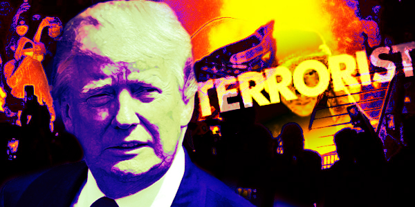 Trump Officially Instructs DOJ to Classify Antifa as a Domestic Terrorist Organization…