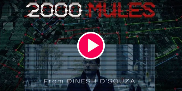 Watch 2000 Mules (Direct From Dinesh)…